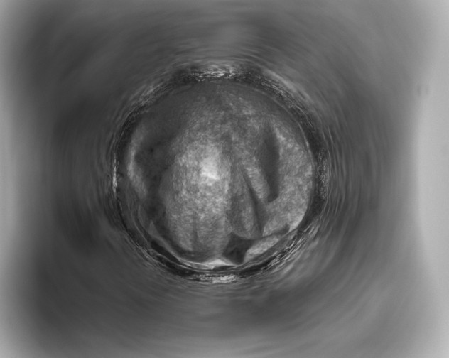 X0000093501394200711021001