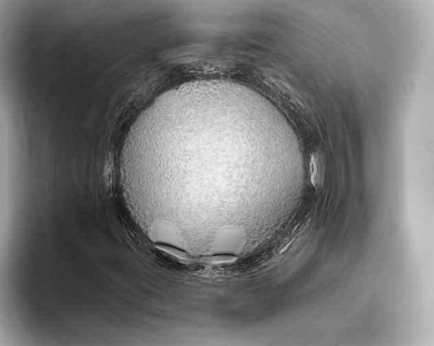X0000093501395200711021001