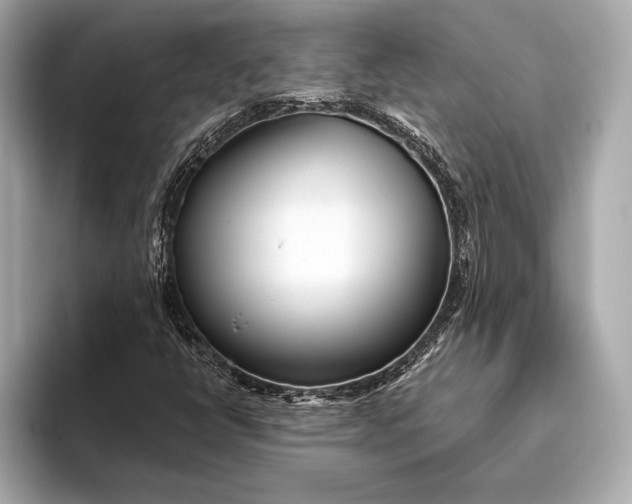 X0000093501398200711021001