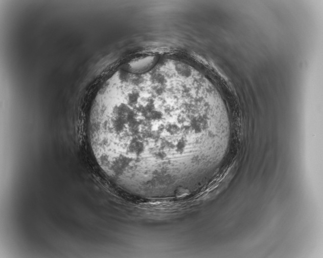 X0000093501399200711021001