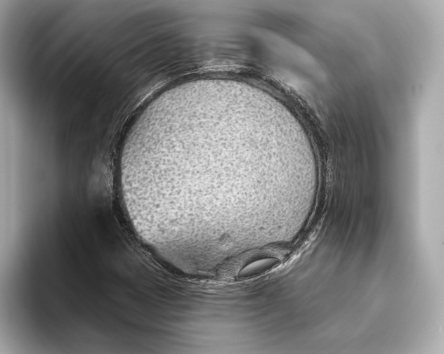 X0000093501401200711021001