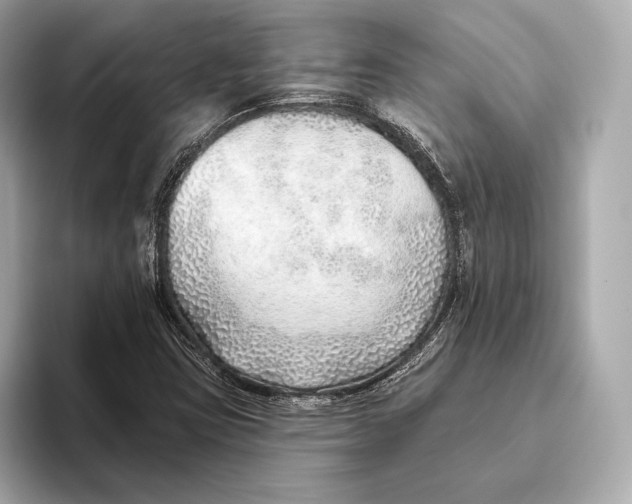 X0000093501403200711021001