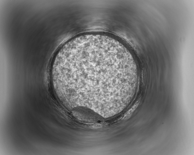 X0000093501405200711021001