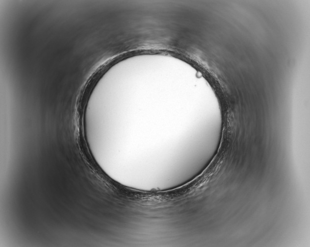 X0000093501408200711021001
