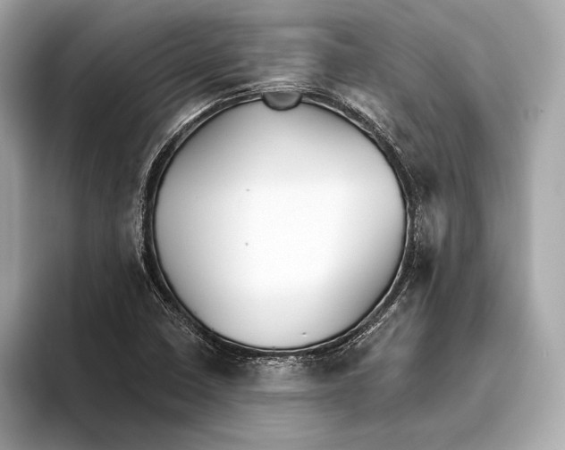 X0000093501410200711021001