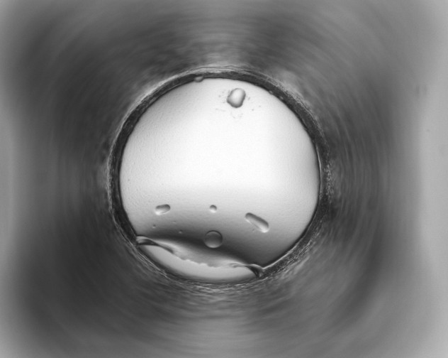 X0000093501412200711021001
