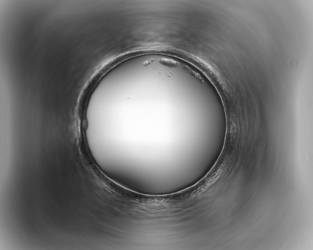 X0000093501414200711021001
