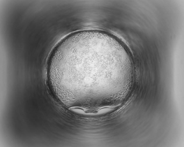 X0000093501415200711021001