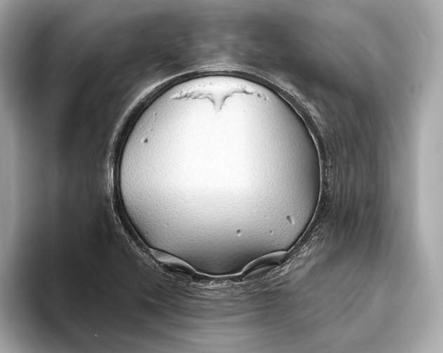 X0000093501416200711021001