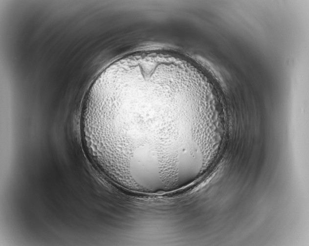 X0000093501417200711021001