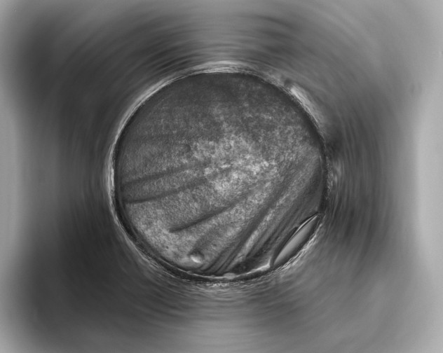 X0000093501418200711021001