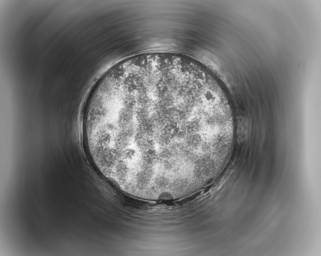 X0000093501419200711021001