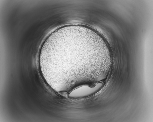 X0000093501421200711021001
