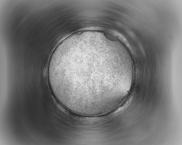 X0000093501425200711021001