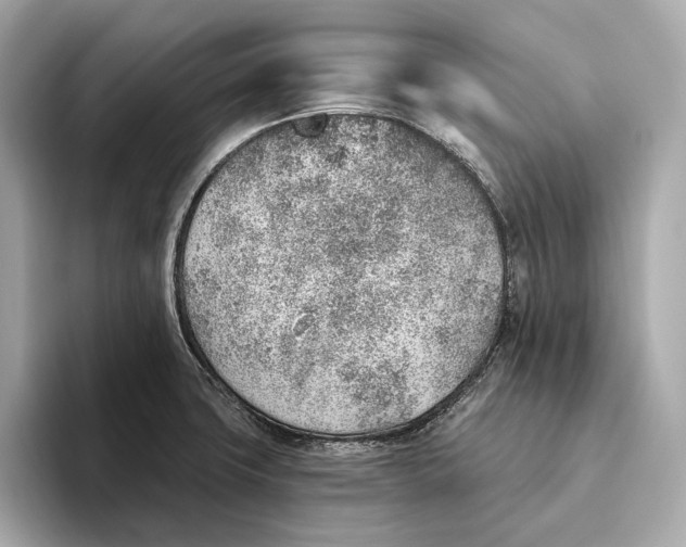 X0000093501427200711021002