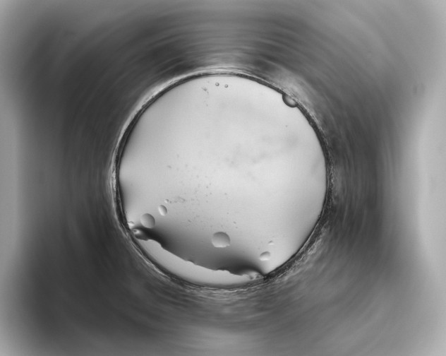 X0000093501428200711021002