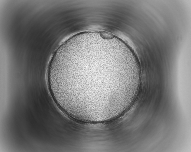 X0000093501429200711021002