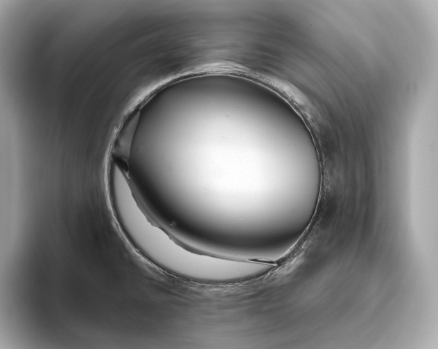 X0000093501430200711021002