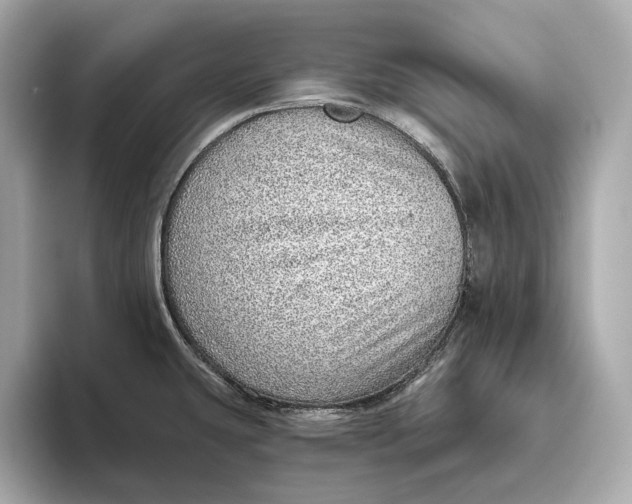 X0000093501431200711021002