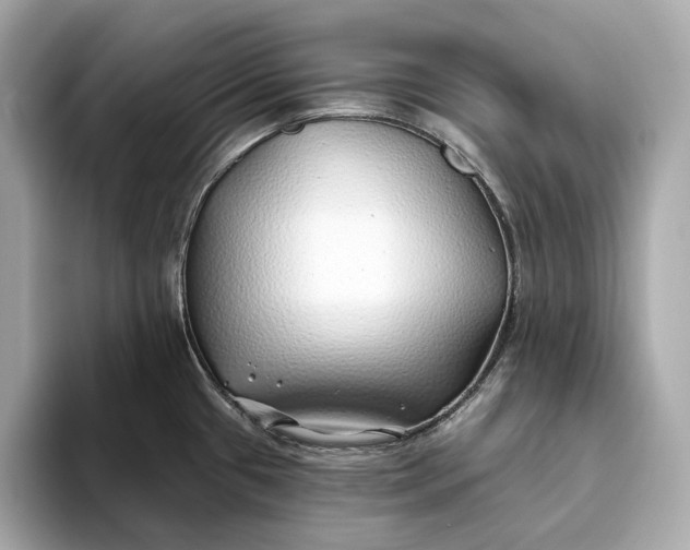 X0000093501433200711021002
