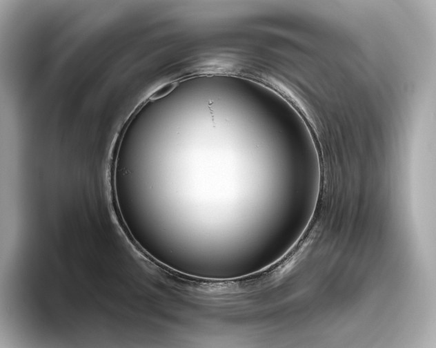 X0000093501434200711021002