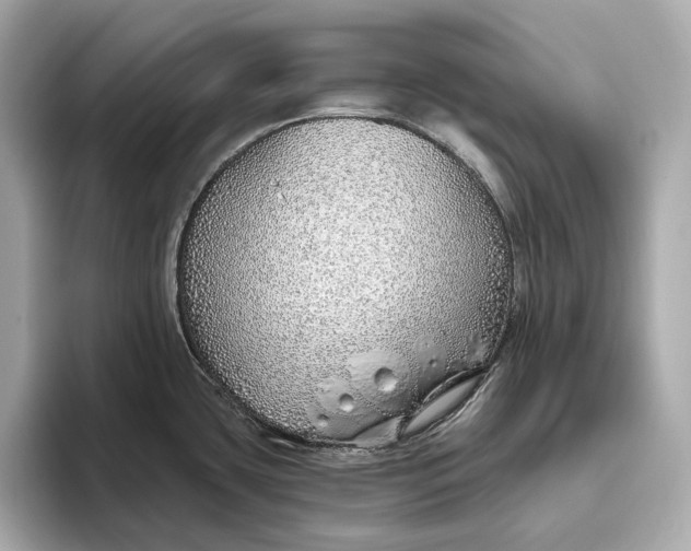 X0000093501435200711021002