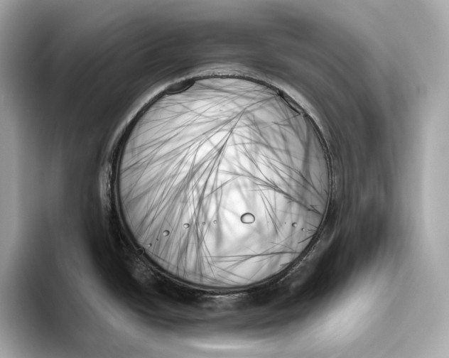 X0000093501438200711021002
