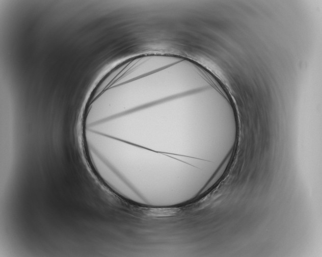 X0000093501440200711021002