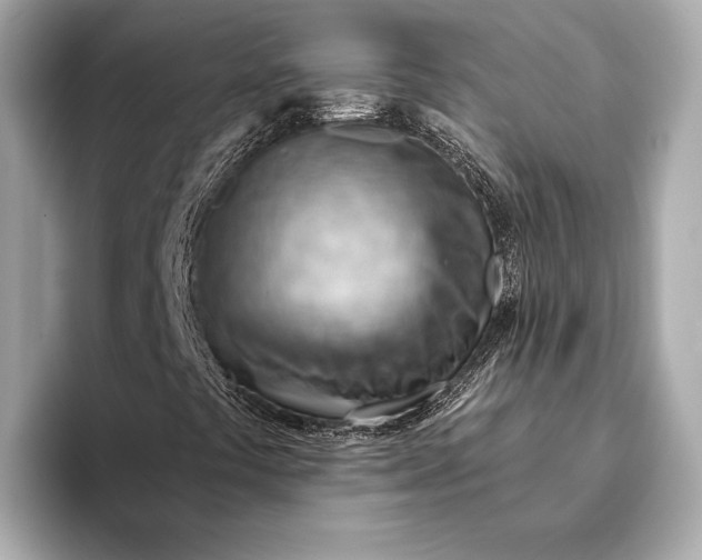 X0000093501441200711021001