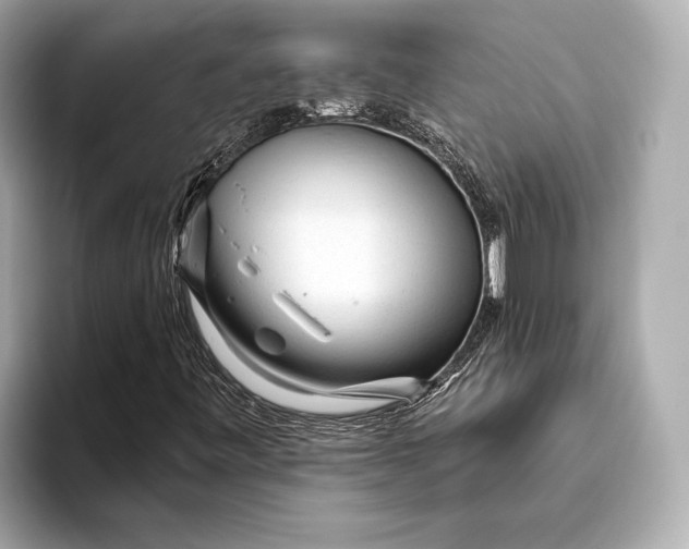 X0000093501443200711021001