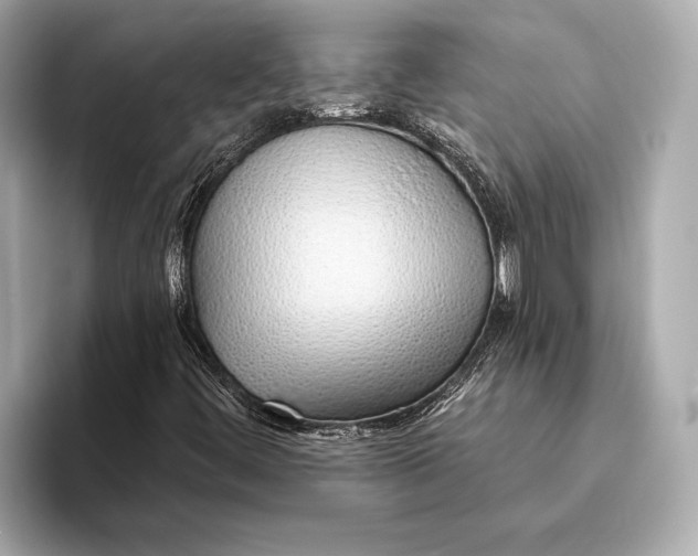 X0000093501444200711021001