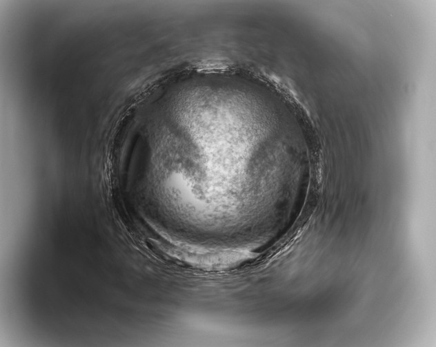 X0000093501445200711021001