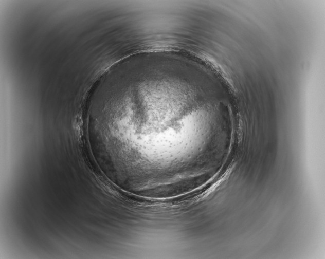 X0000093501449200711021001