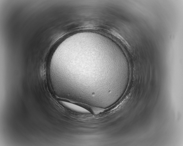 X0000093501450200711021001