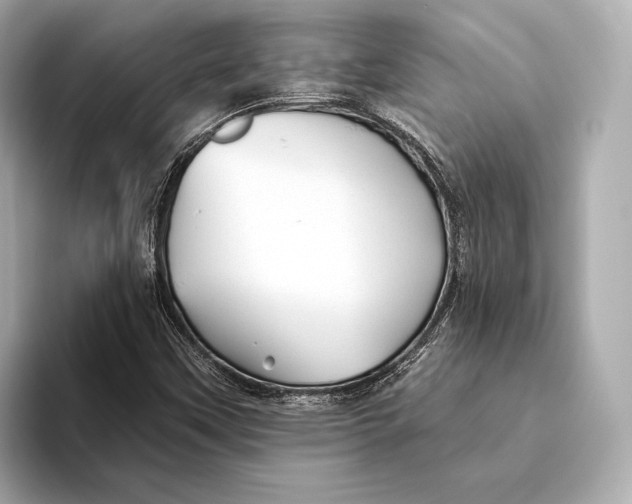 X0000093501451200711021001