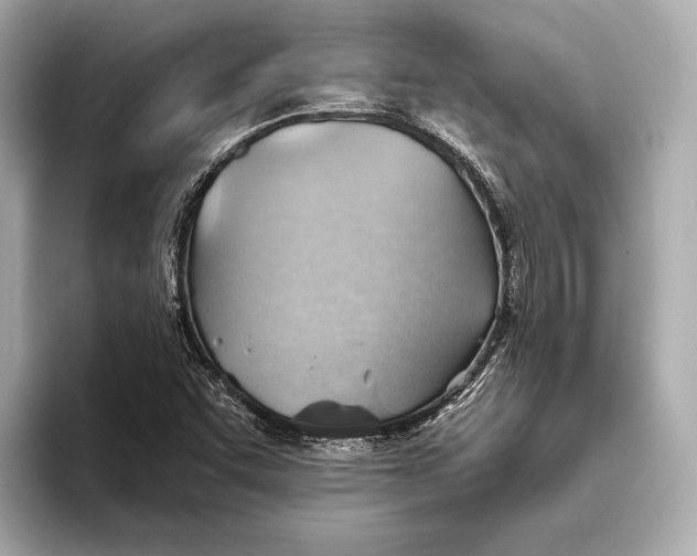 X0000093501455200711021001