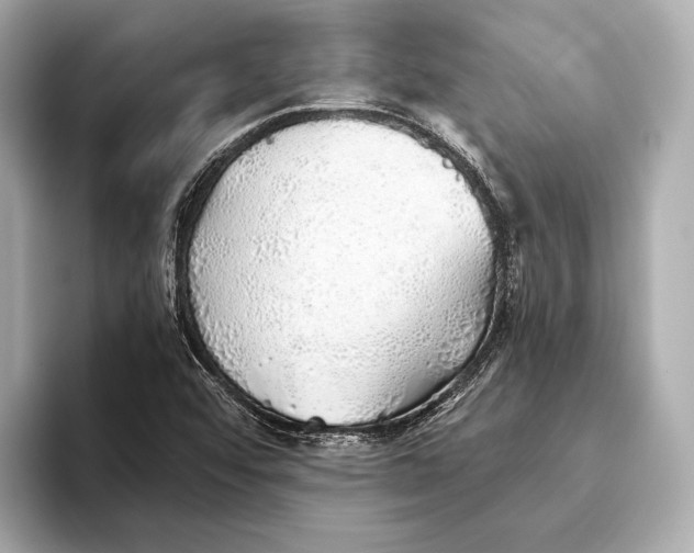 X0000093501456200711021001