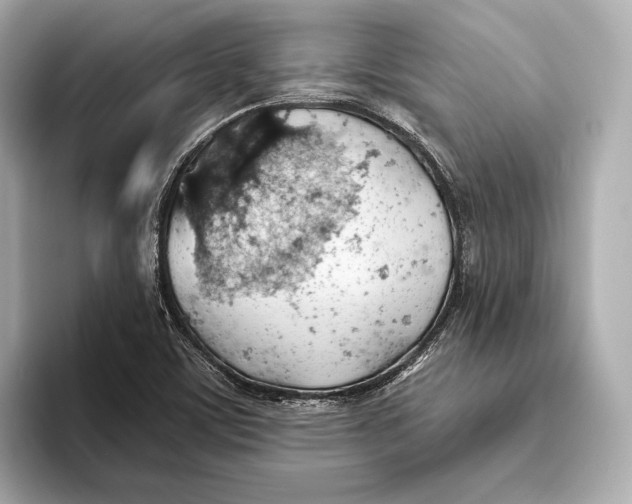 X0000093501459200711021001