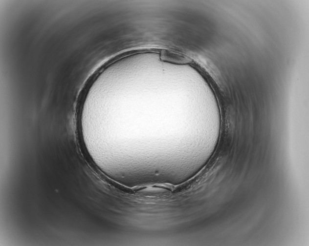 X0000093501460200711021001
