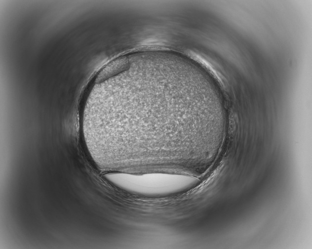 X0000093501461200711021001