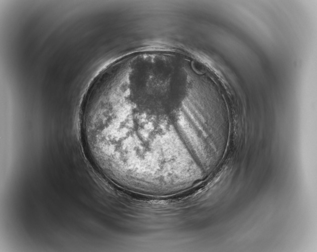 X0000093501463200711021001