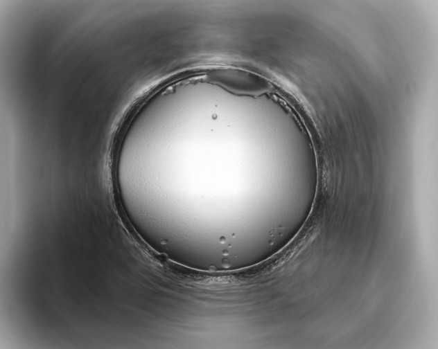 X0000093501464200711021001