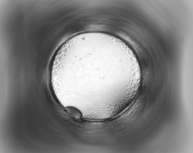 X0000093501467200711021001