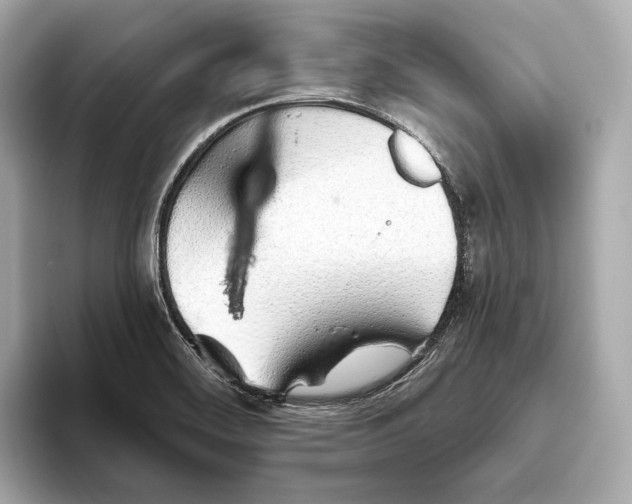 X0000093501468200711021001