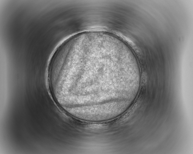 X0000093501470200711021001