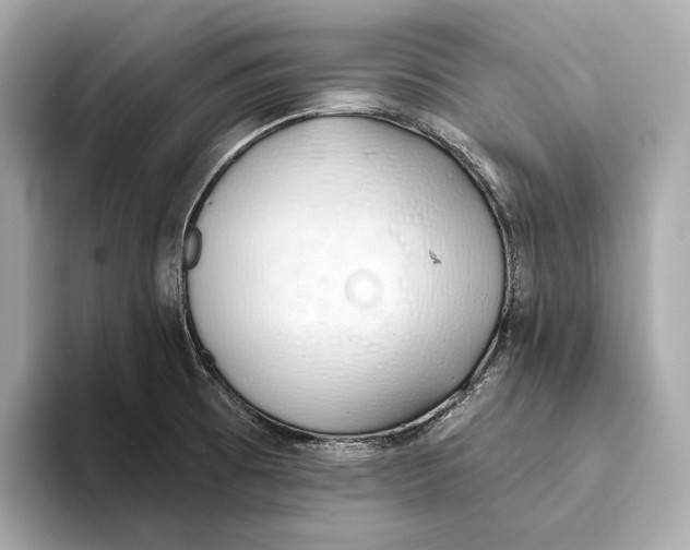 X0000093501473200711021001