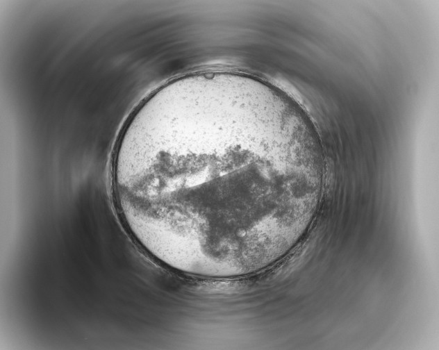 X0000093501474200711021001