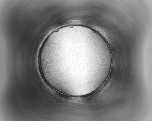 X0000093501475200711021001