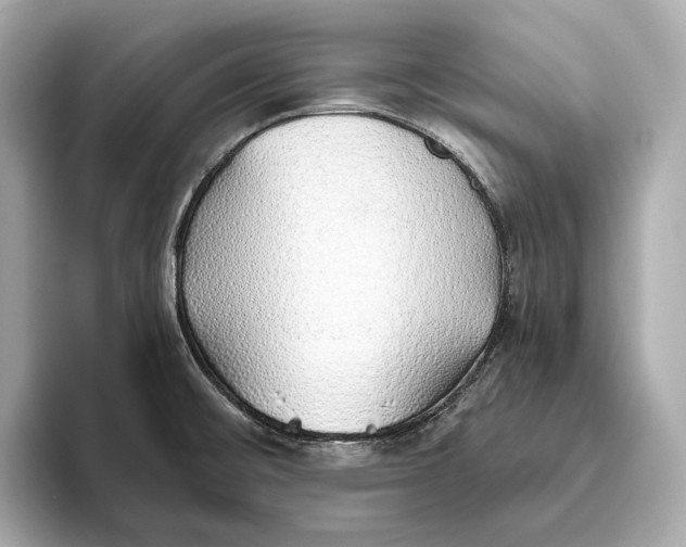 X0000093501476200711021001