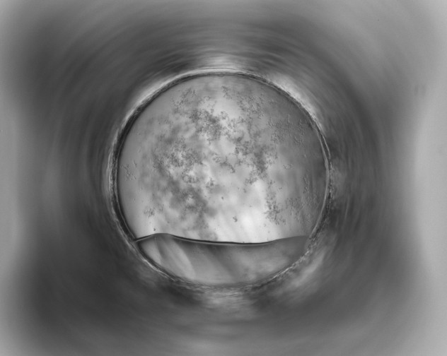 X0000093501477200711021001